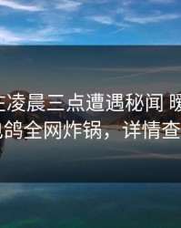 主持人在凌晨三点遭遇秘闻 暧昧蔓延，电鸽全网炸锅，详情查看