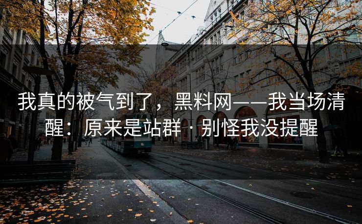 我真的被气到了，黑料网——我当场清醒：原来是站群 · 别怪我没提醒