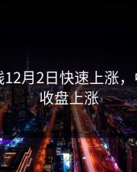 中文在线12月2日快速上涨，中文在线收盘上涨