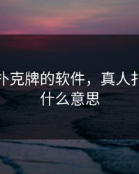 真人打扑克牌的软件，真人扑克牌是什么意思