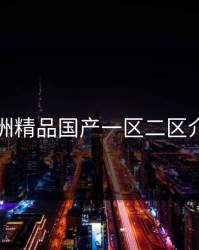 亚洲精品国产一区二区介绍