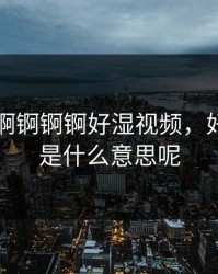 巜锕锕锕锕锕锕好湿视频，好湿好湿是什么意思呢
