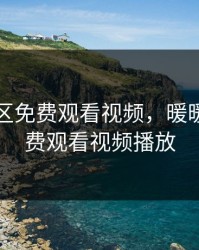 暖暖社区免费观看视频，暖暖社区免费观看视频播放