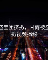 甘雨被盗宝团挤扔，甘雨被盗宝团挤扔视频揭秘