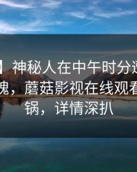 【震惊】神秘人在中午时分遭遇秘闻 勾魂摄魄，蘑菇影视在线观看全网炸锅，详情深扒