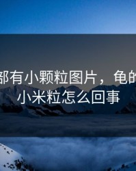 龟的头部有小颗粒图片，龟的头部有小米粒怎么回事
