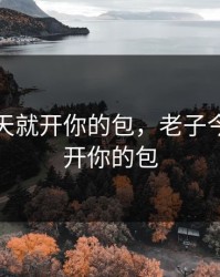 老子今天就开你的包，老子今天就想开你的包