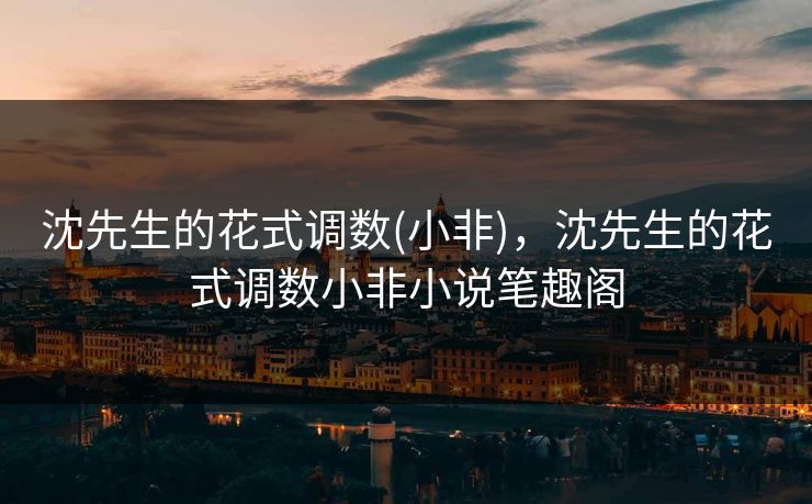 沈先生的花式调数(小非)，沈先生的花式调数小非小说笔趣阁