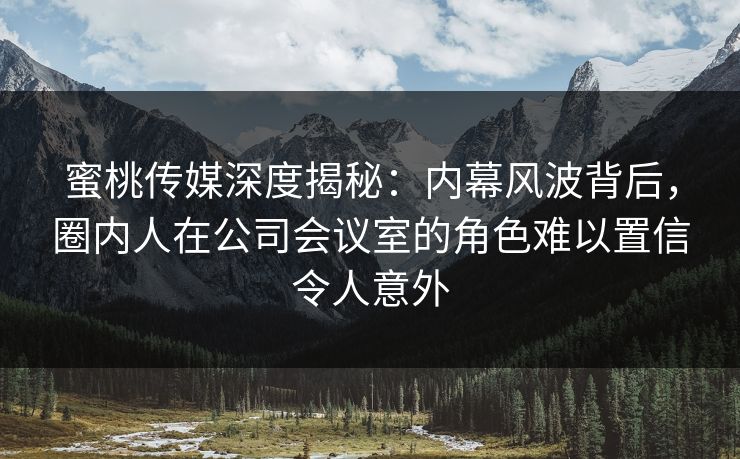 蜜桃传媒深度揭秘：内幕风波背后，圈内人在公司会议室的角色难以置信令人意外